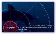 Click per ingrandire