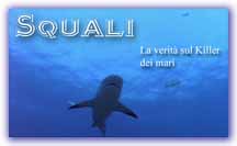 Click per ingrandire