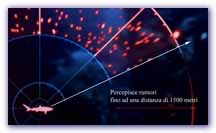 Click per ingrandire