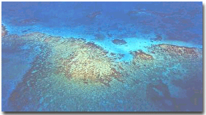 Area Chinchorro