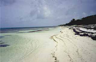 real estate mexico picture of beach